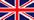 Go to english website